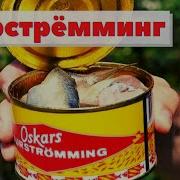 Сюрстрёмминг Квашеная селедка Как это сделано Surströmming