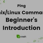 Ping Unix Linux Command Beginners Introduction