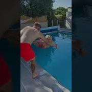 Everything Always Ends Up In The Pool Pranks Shorts