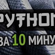Учим Python за 10 минут