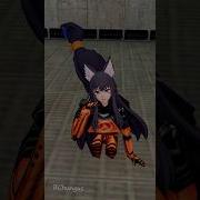 Мяу раньше Half Life 3