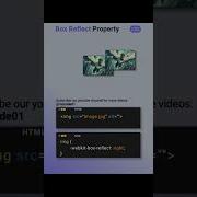 Box Reflect Property HTML CSS Coding Webdesign Csstutorial Cssboxmodel Webdevelopment Css3