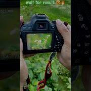 Canon 700d Photography Canon700d 50mm Streetphotography Dslrcamera