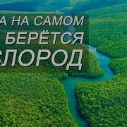 ОТКУДА НА САМОМ ДЕЛЕ БЕРЕТСЯ КИСЛОРОД