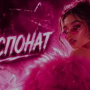 MIA BOYKA Экспонат Самый Вирусный TikTok Remix