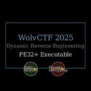 Dynamic Reverse Engineering