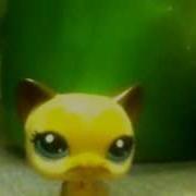 LPS ShapeShifter Preview