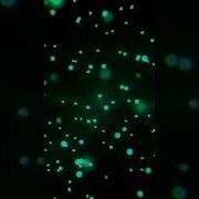 Particles Blender Particle System Bright Neon Colorful Newvideo 2023