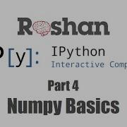 4 NumPy Basics IPython Notebook Tutorial