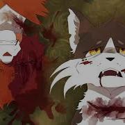 For The Last Time Swiftpaw And Brightpaw AMV