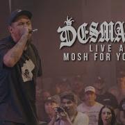 197 Media Desmadre Live At Mosh For Youth 7