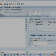 43 ABAP Programming String Comparison Operators NP Contains No Pattern Using And