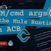 How To Add JVM Command Line Arguments To The Mule 4 Runtime In Anypoint Code Builder ACB