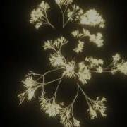 PopcornFX Sample Light Tree