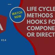 Angular V14 Complete Life Cycle Hooks Methods For The Component Or Directive Angular