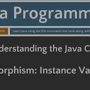Learn Java Programming Polymorphism And Instance Variables Tutorial