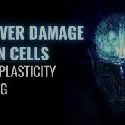 Regeneration Of Neurons Neuroplasticity Healing Recover Damage Brain Cells Binaural Beats Tone
