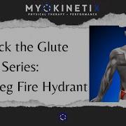 Glute Exercises Single Leg Fire Hydrant