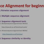 Sequence Alignment For Beginners Pairwise Vs Multiple Sequence Alignment Similarity Vs Identity