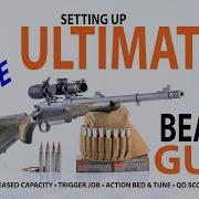 Building The Ultimate Bear Gun