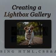 Creating A Lightbox Gallery With HTML CSS JavaScript 75DayUIChallenge Day69