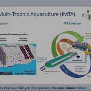 From Data Interoperability To Data Spaces In The Aquaculture Domain Online Workshop Recording