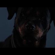 Lethal Weapon 3 Rottweiler Scene