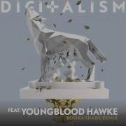 Digitalism Wolves Feat Youngblood Hawke Booka Shade Remix