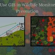 How To Use GIS For Wildlife Monitoring And Prevention MAPOG Tutorial Mapog Gis Smart Mapping