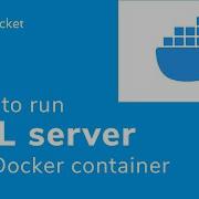 How To Run SQL Server In A Docker Container