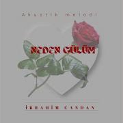 Neden Gülüm Akustik Melodi