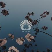 Caprice Extended Mix