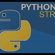 How To Use Isalpha In Python