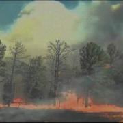 Raw Video Shows How Fast Texas Wildfire Spread