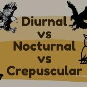 Diurnal Vs Nocturnal Vs Crepuscular Animals Day Night Twilight Activity Explained