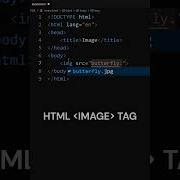 Insert Image In HTML Html Image Tag Html