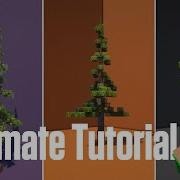The ULTIMATE Pine Tree GUIDE