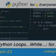 Python Loops Python While Loop Python Input Input Validation Lesson 22