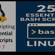 Day 7 25 Must Know Bash Scripts Every DevOps Engineer Should Use Automate Everything