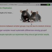 5 2 2 Replication
