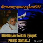 Müslüman Korkak Uyuşuk Pısırık Olamaz Timurtaş Uçar Hoca Efendi