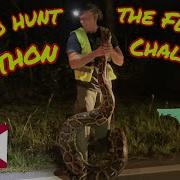 How To Hunt The Florida Python Challenge
