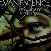 Evanescence Imaginary Live