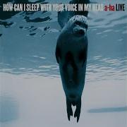 Cry Wolf Live