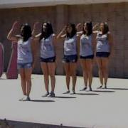LTA Delta Theta Chapter Salute