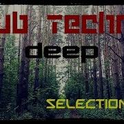 Deep DUB TECHNO Selection 036 Echoes In The Pines
