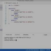 Conditional Statement Switch Case JavaScript From Scratch