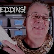 The 4 Stages Of Shedding Ball Pythons
