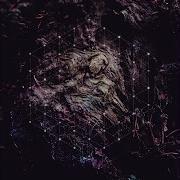 The Fall Of Consciousness