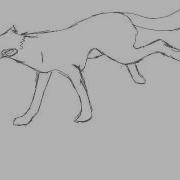Wolf Run Test
